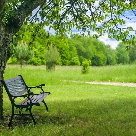 Restaurant Du Chateau De La Tour 3*