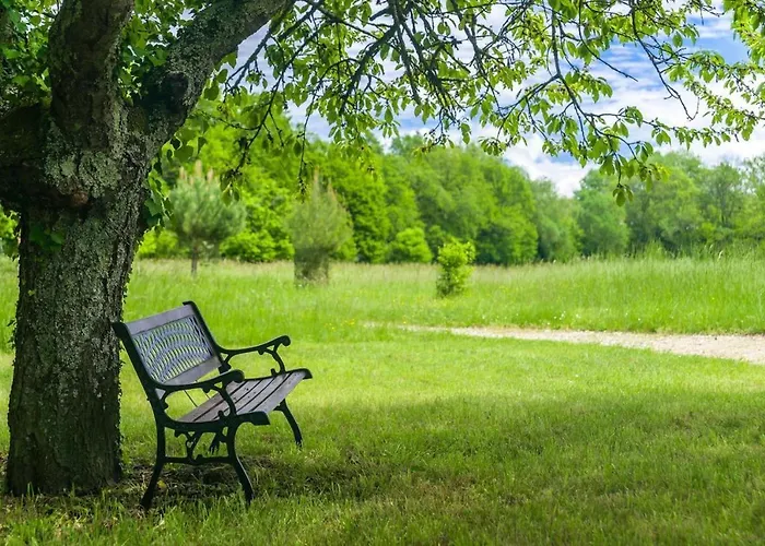 Restaurant Du Chateau De La Tour 3*